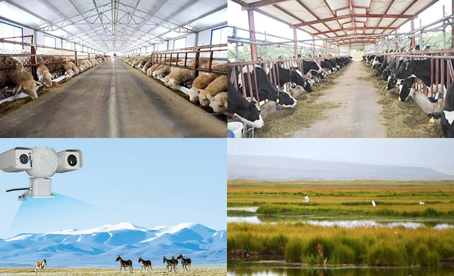 8公里無線通信模塊視頻監(jiān)控養(yǎng)殖場/自然保護區(qū)無線傳輸 8公里無線通信模塊視頻監(jiān)控養(yǎng)殖場/自然保護區(qū)無線傳輸