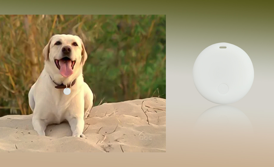 Indoor locator UWB Dog anti-stray guard your dog every time you explore Indoor locator UWB Dog anti-stray guard your dog every time you explore